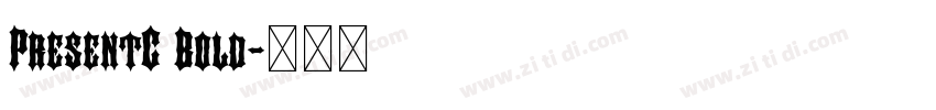 PresentC Bold字体转换 PresentC Bold字体转换